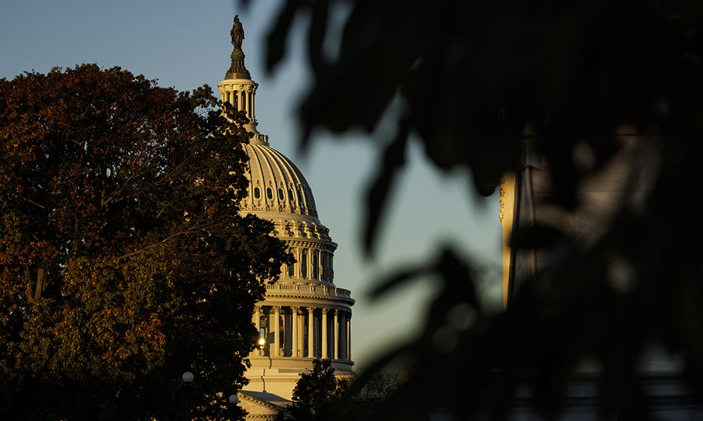 US Capitol dome at sunrise, half obscured by tree.