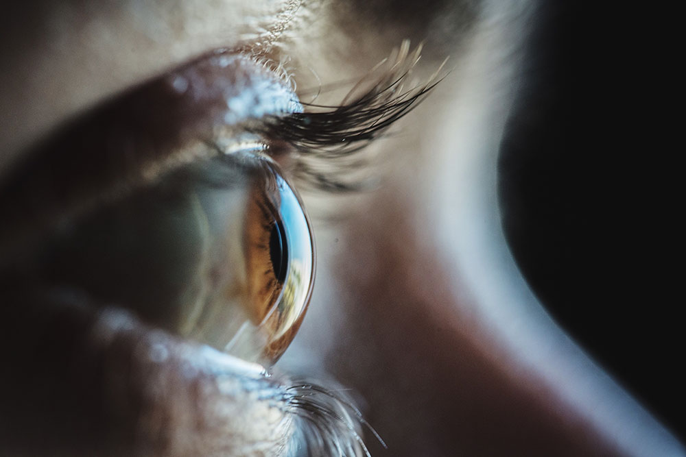 Feature image Closeup profile view of eye on woman gazing straight ahead to illustrate fixational eye movement role in vision.