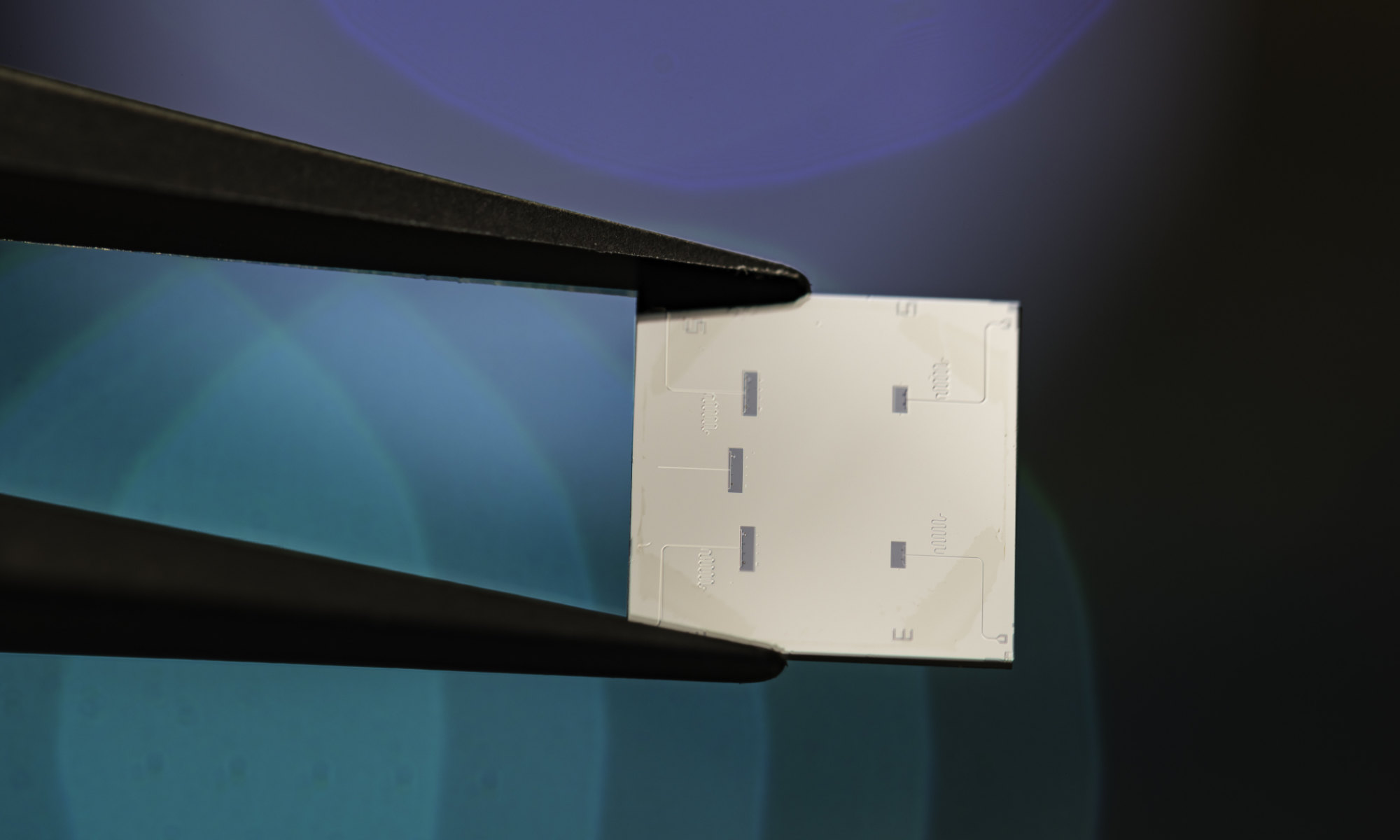 Example of superconducting circuits like this one (Niobium on Silicon substrate) fabricated at the University of Rochester cleanroom (URNano).