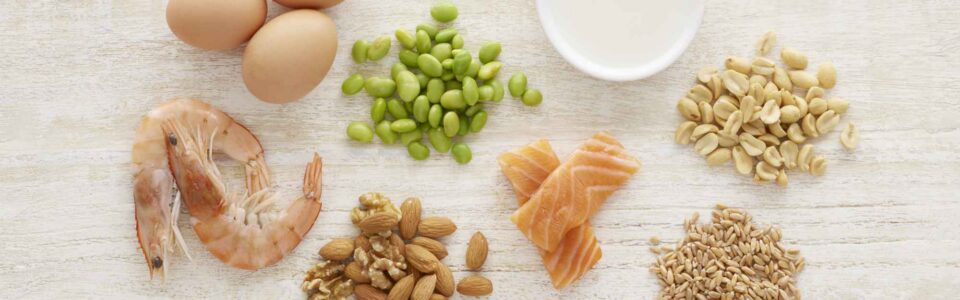 Overhead photo of various foods—eggs, shrimp, nuts, salmon, lima beans, milk, peanuts, and brown rice—grouped by type to illustrate nutrient separation of proteins, fats, and carbohydrates.