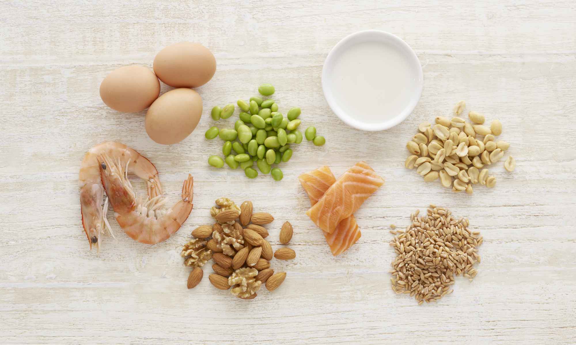 Feature image Overhead photo of various foods—eggs, shrimp, nuts, salmon, lima beans, milk, peanuts, and brown rice—grouped by type to illustrate nutrient separation of proteins, fats, and carbohydrates.