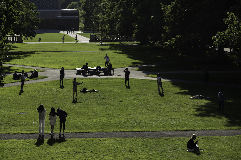 Green grass, open spaced, with a number of people sitting, standing, relaxing