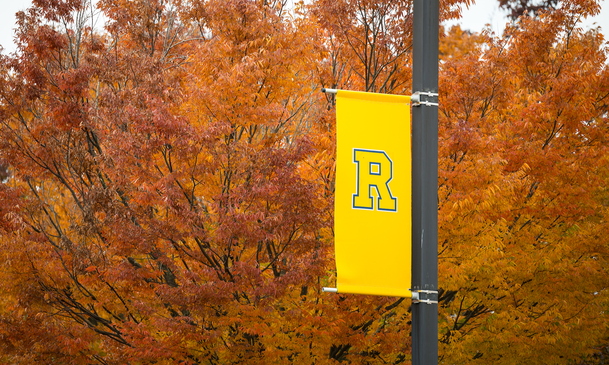 Yellow "R" flag on a light pole set against fall trees