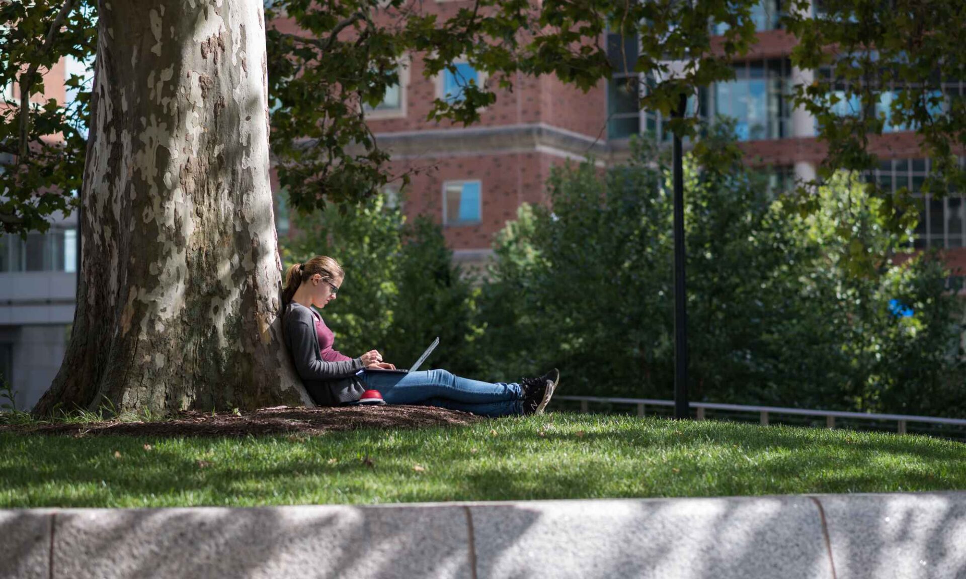 Student sits under a tree with a laptop on the Hajim Quad to illustrate a new digital accessibility policy at the University of Rochester.