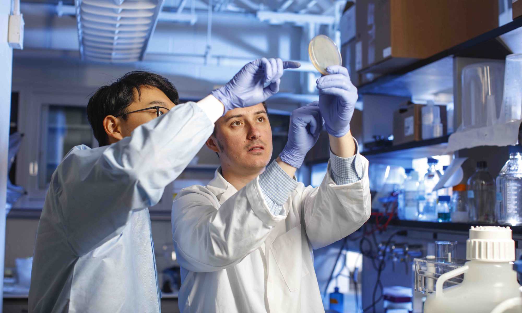 Mitch O'Connell and a fellow researcher in a lab raising a Petri dish to examine it.