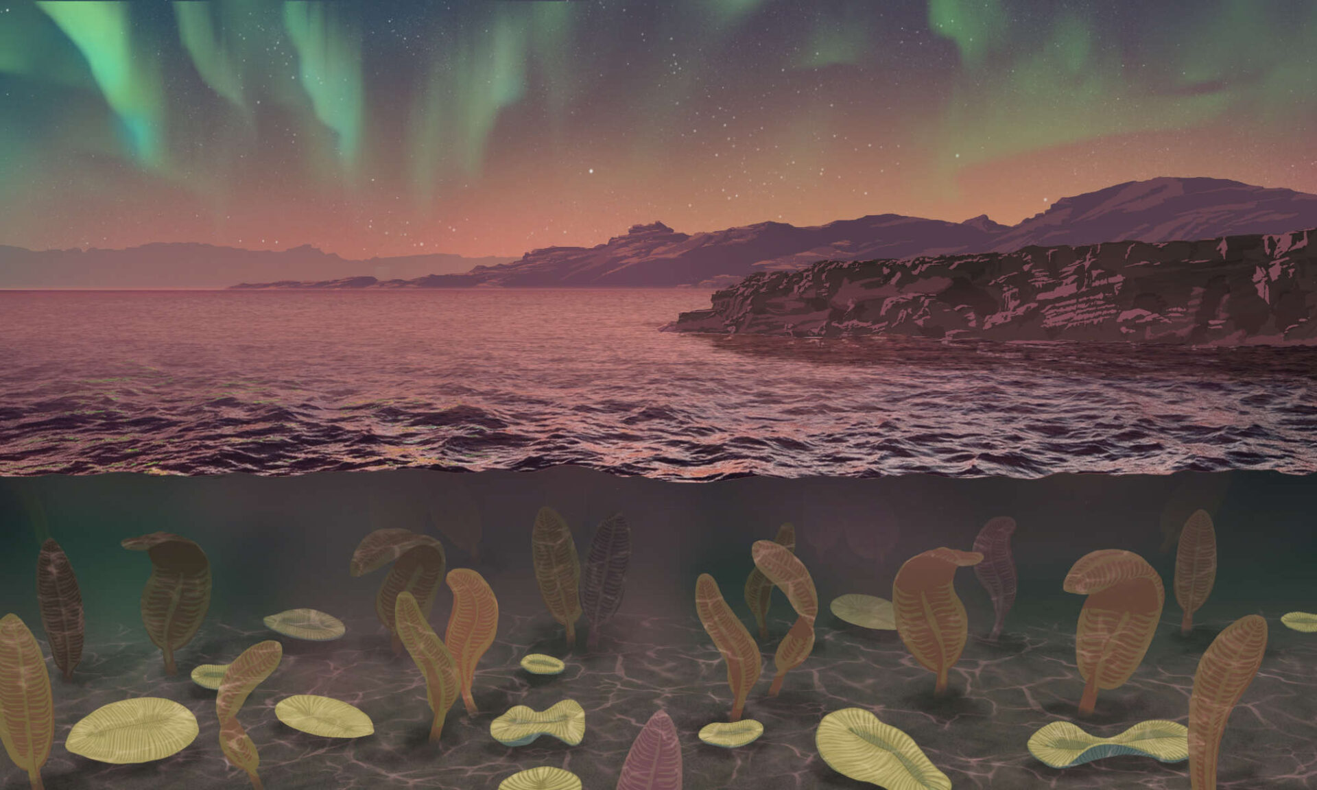 Illustration of a cross-section of the ocean featuring Ediacaran fauna, including Dickinsonia, under water while an aurora shines in the sky.