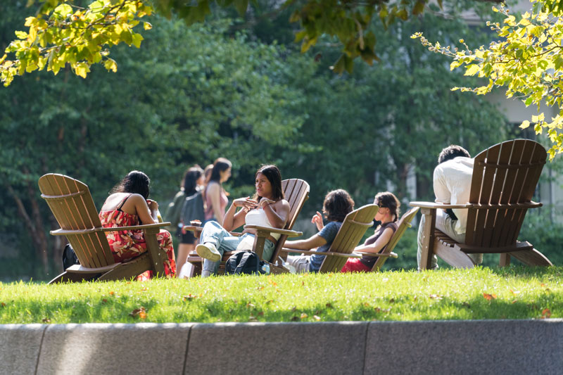 People relax in Adirondack chairs on a grassy area with trees in the background.