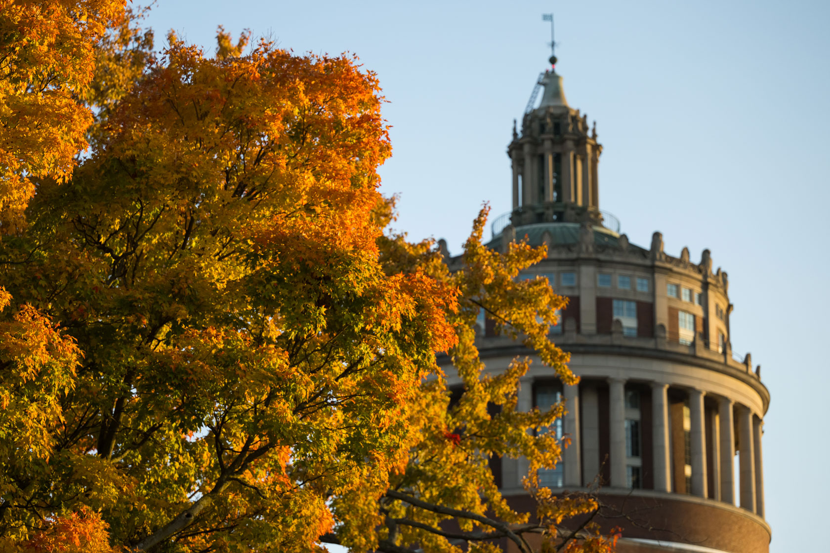 Tree with autumn leaves in front the University of Rochester library.