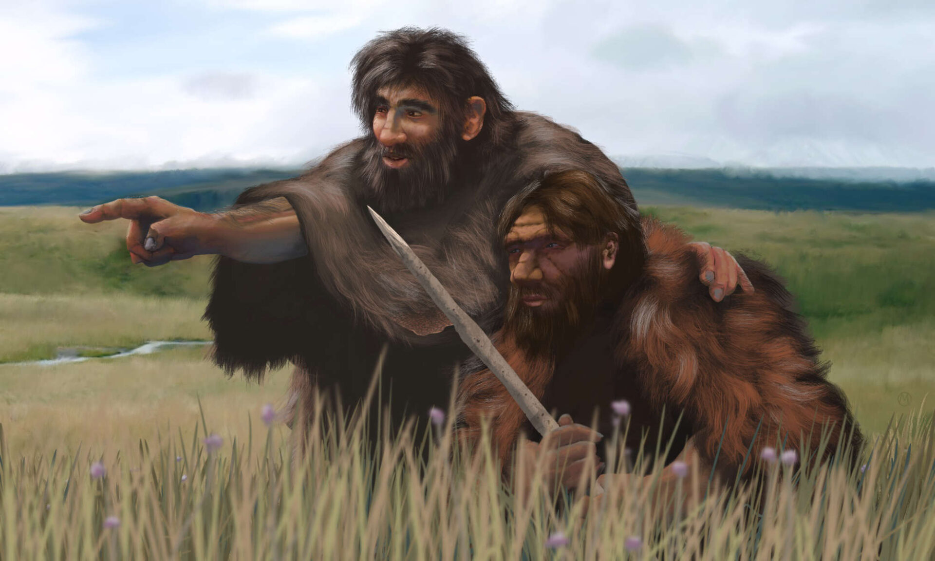 Two Neanderthals in a grassy field point off into the distance to illustrate the evolution of Neanderthal DNA.