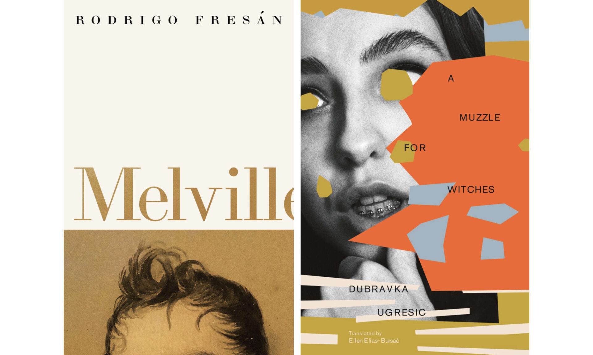 Diptych of the book cover art for 