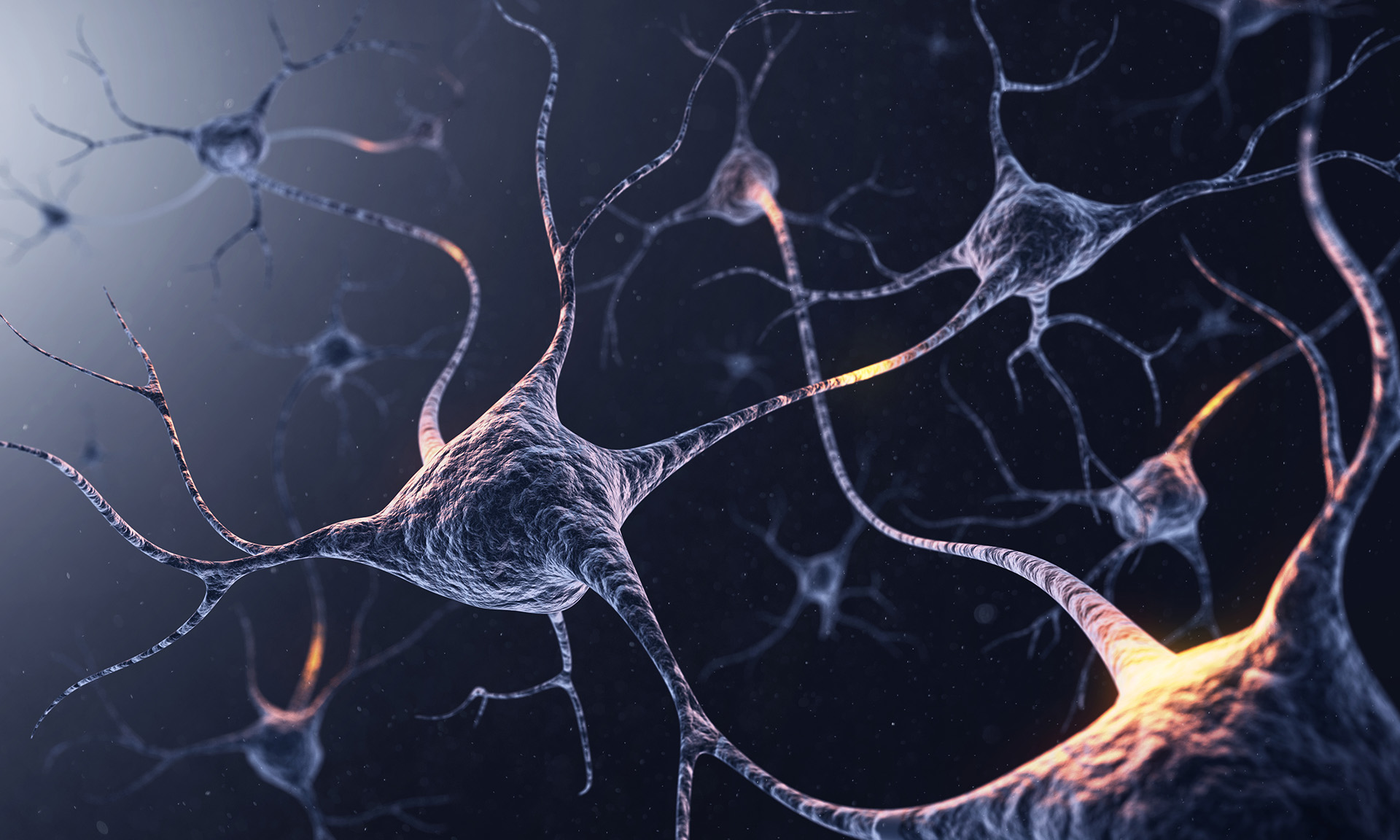Feature image System of colorful neurons with glowing connections against a dark background.