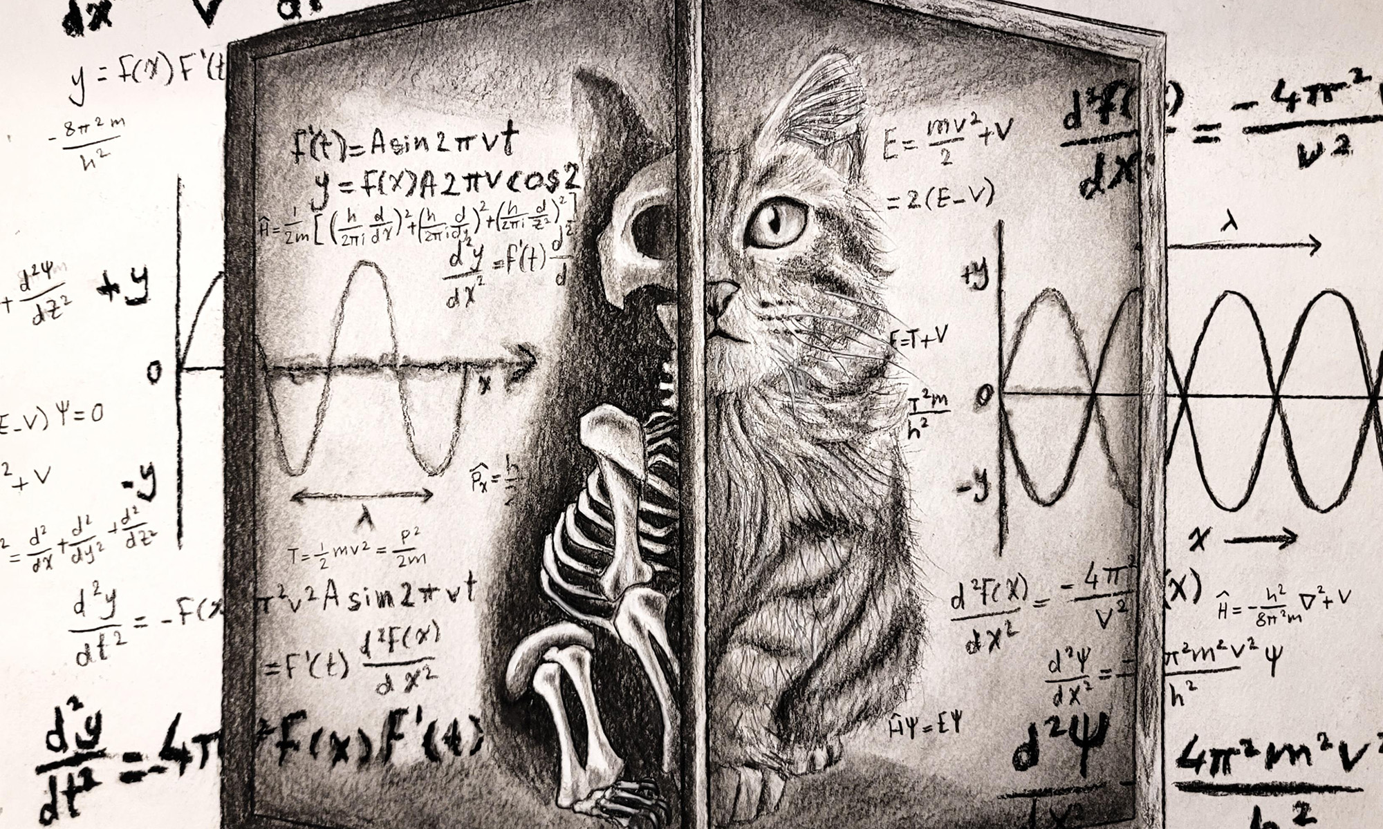 Illustration of Schrödinger’s cat half alive and half skeletal in a box, surrounded by complex physics equations.