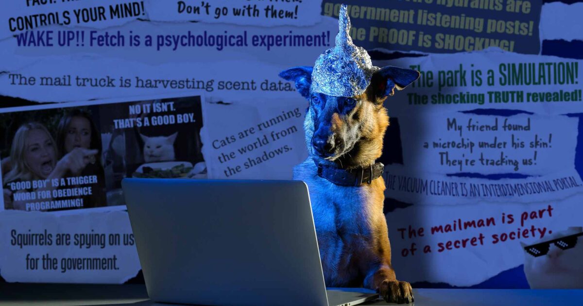 Who’s immune to conspiracy theories?(00)