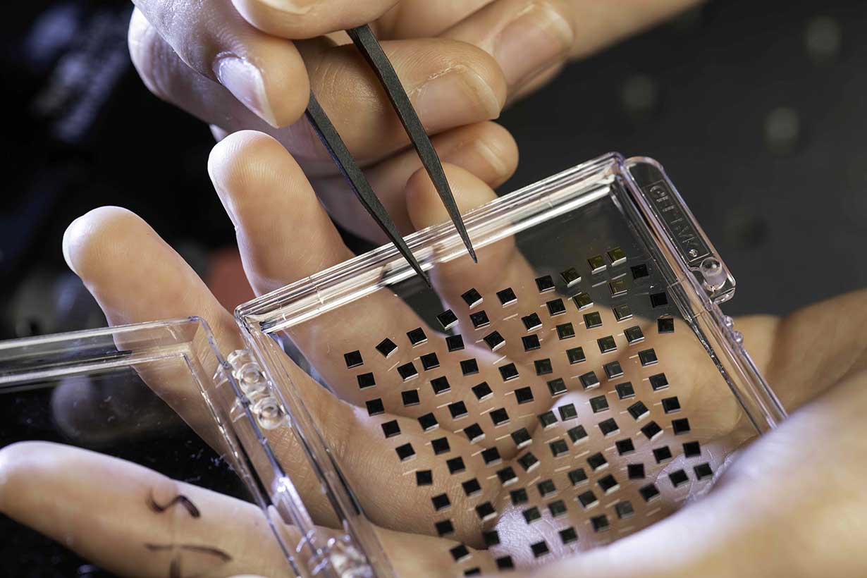 Close-up of hands holding tweezers to manipulate one millimeter square photonics chips.