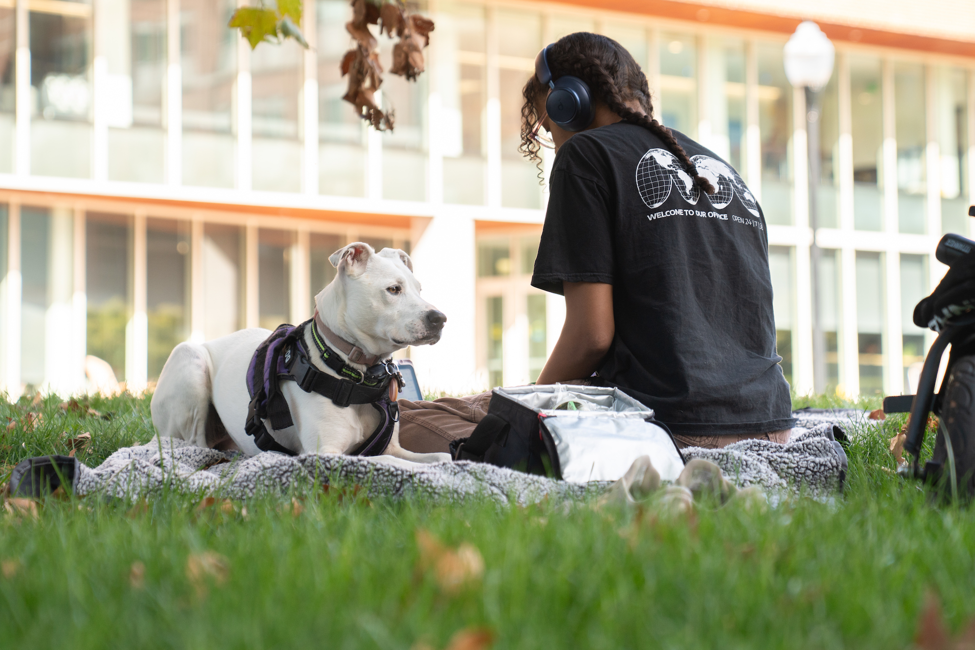 Student studies on the Engineering Quad with a dog nearby.