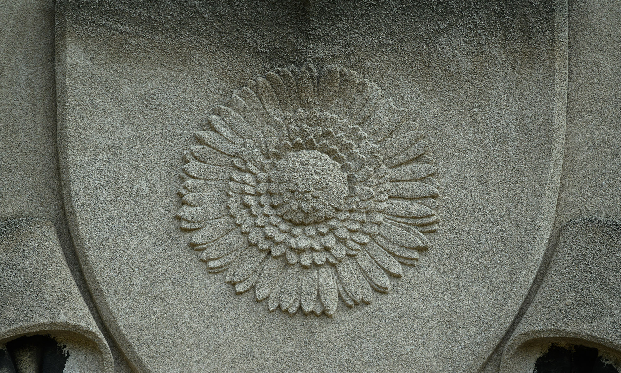 dandelion engraving in stone.