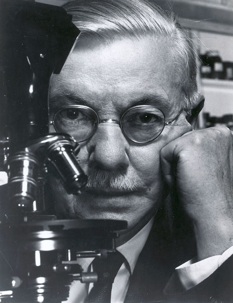 George Corner, a man with glasses and a mustache, sits in front of a microscope, focused on his work.