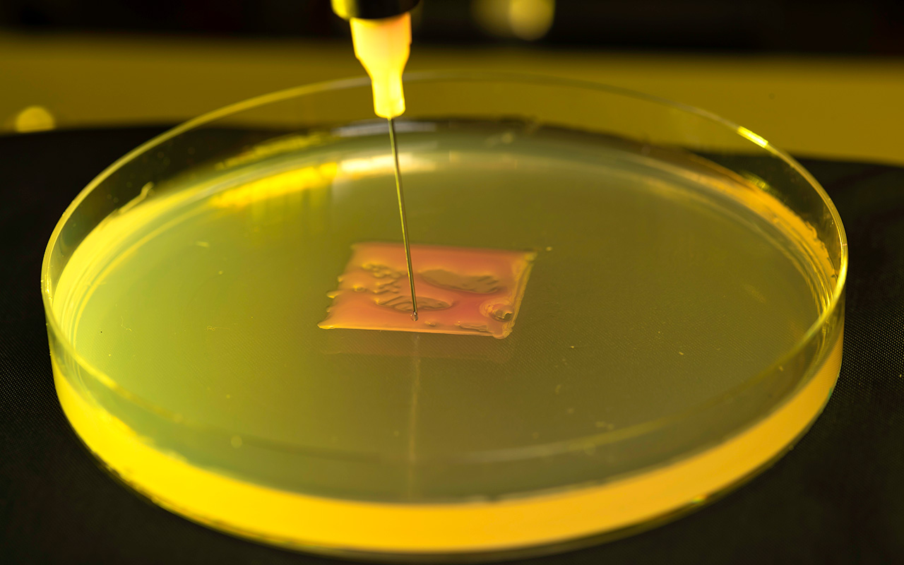 3D printer nozzle deposits biological material in a petri dish, representing research in printing living materials and biofilms.