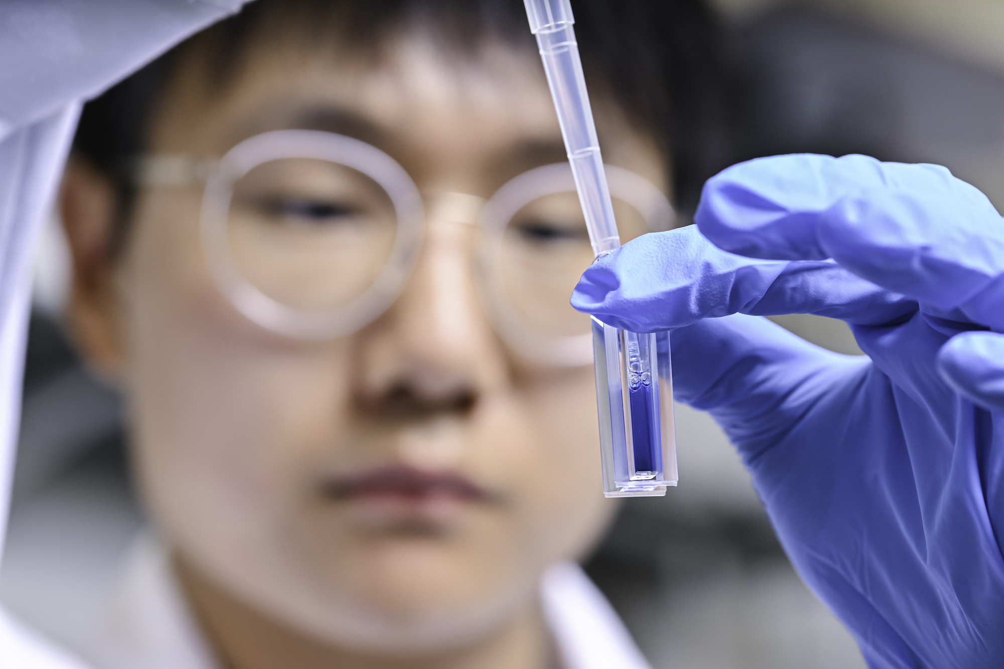 Biochemistry major Daniel Oh ’26 displays the result of the Bradford Assay, which is used to measure protein concentration. 