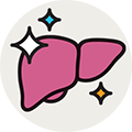 Illustration of a liver with sparkles, representing recovery and regrowth after liver transplant.