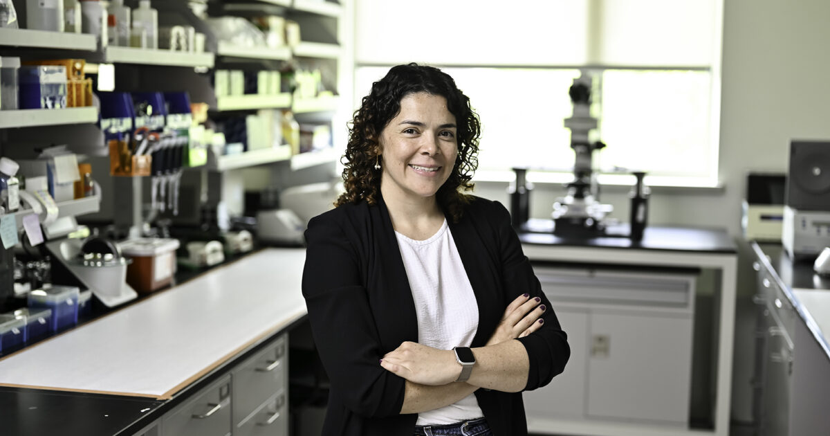 Uncovering how cells build tissues and organs