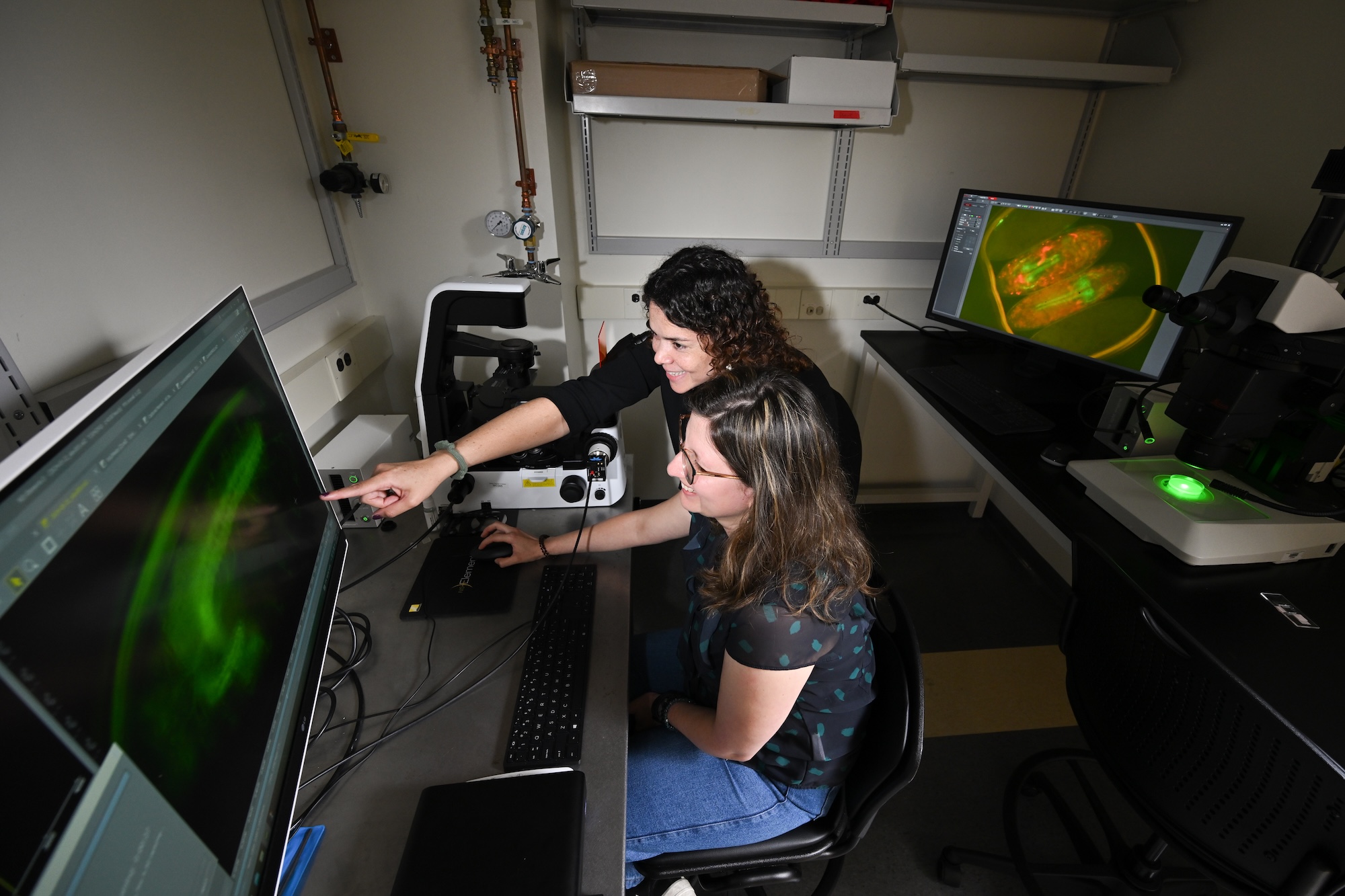 Assistant Professor Marisol Herrera Perez and biomedical engineering PhD student Maria Camila Ferrucho use a fluorescent microscope to activate an optigenetic tool. 