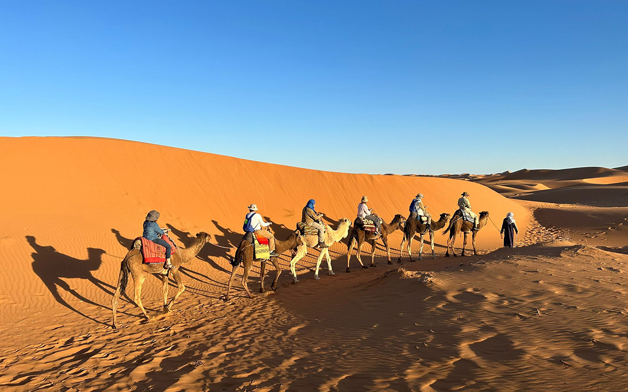 A line of travelers rides camels across golden desert dunes under a clear blue sky, their long shadows stretching across the sand.