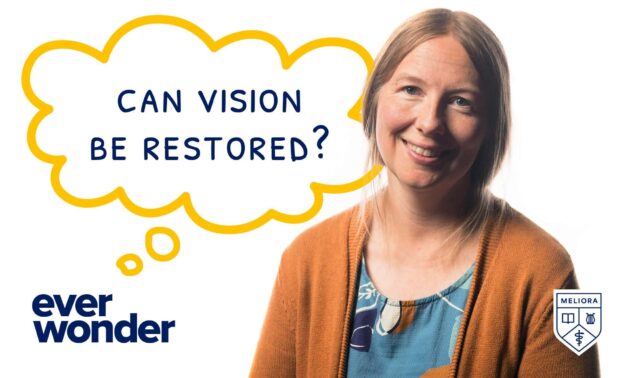 A graphic featuring Juliette McGregor next to a thought bubble that reads "ever wonder: can vision be restored" and the University of Rochester logo to illustrate an explainer video about vision loss.