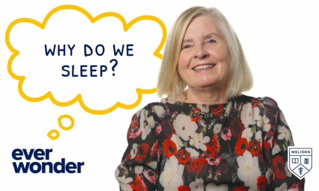 Maiken Nedergaard against a white background and next to text and a speech bubble that reads "ever wonder why do we sleep" to address the topic of why sleep is important.