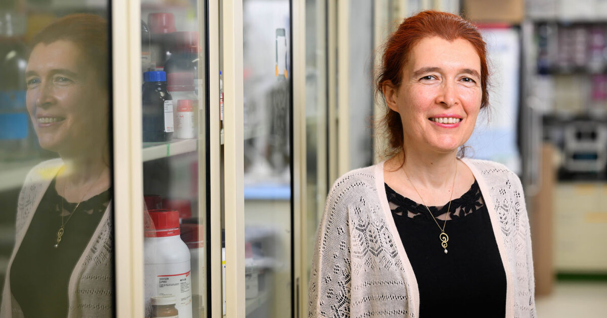 URochester researchers awarded up to $22M to study a hidden driver of aging