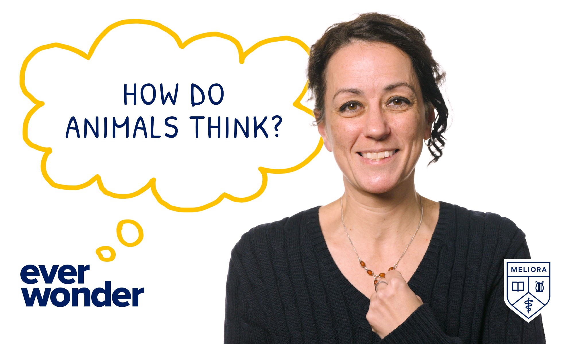 Dora Bora against a white background near text that reads "ever wonder" and then in a thought bubble "how animals think" to illustrate the concept of collective intelligence in animals.