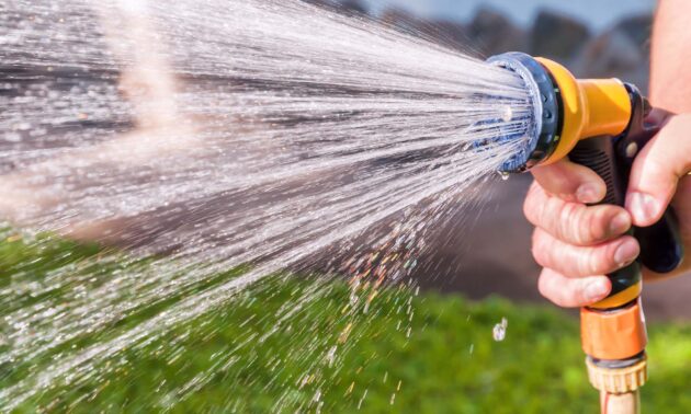Close-up of a hand holding a water hose while spraying a green lawn to illustrate water conservation efforts aimed at water guzzlers.