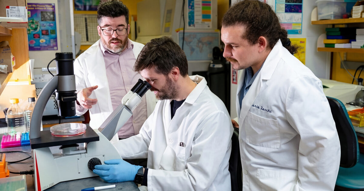 What do cancer cells eat? New research reveals surprising fuel source
