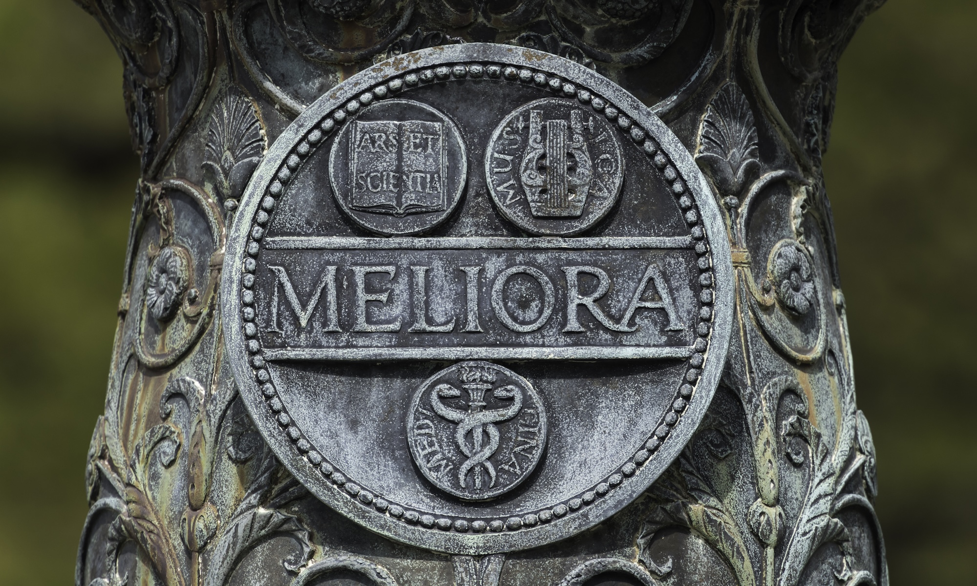 The Meliora seal on a flagpole.