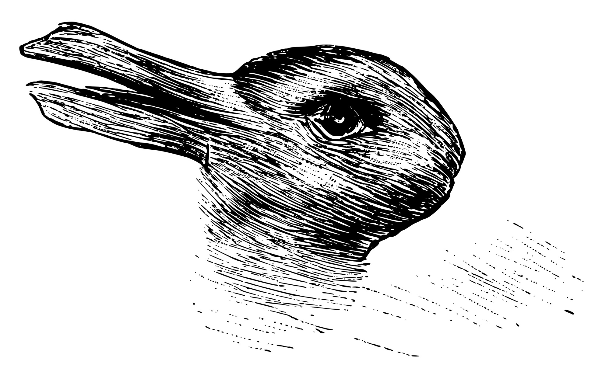 The earliest known line drawing of the duck–rabbit illusion.
