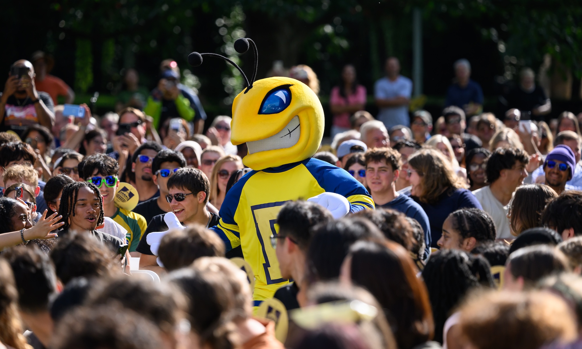 Students attend the convocation ceremony
