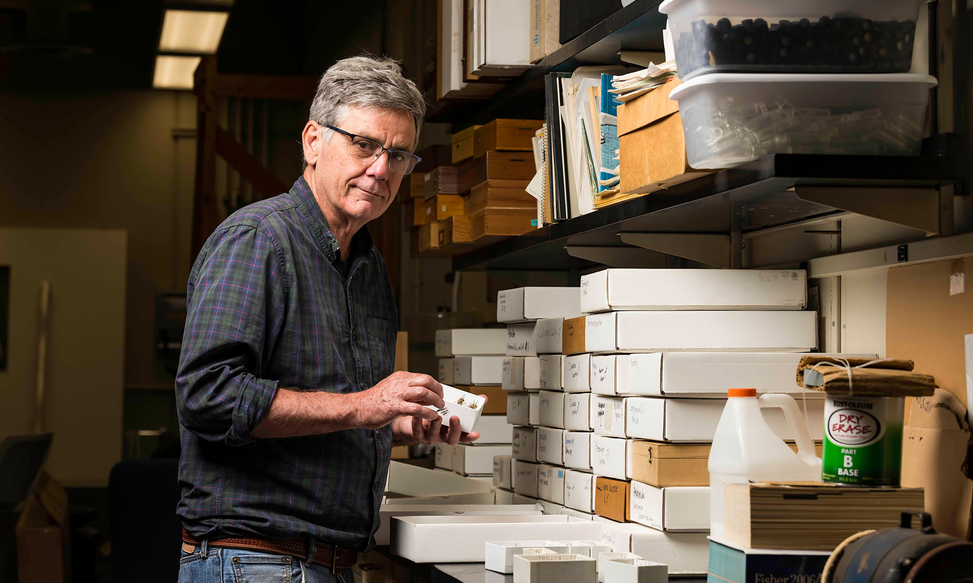 Bob Minckley stands over his collection of bee specimens. 