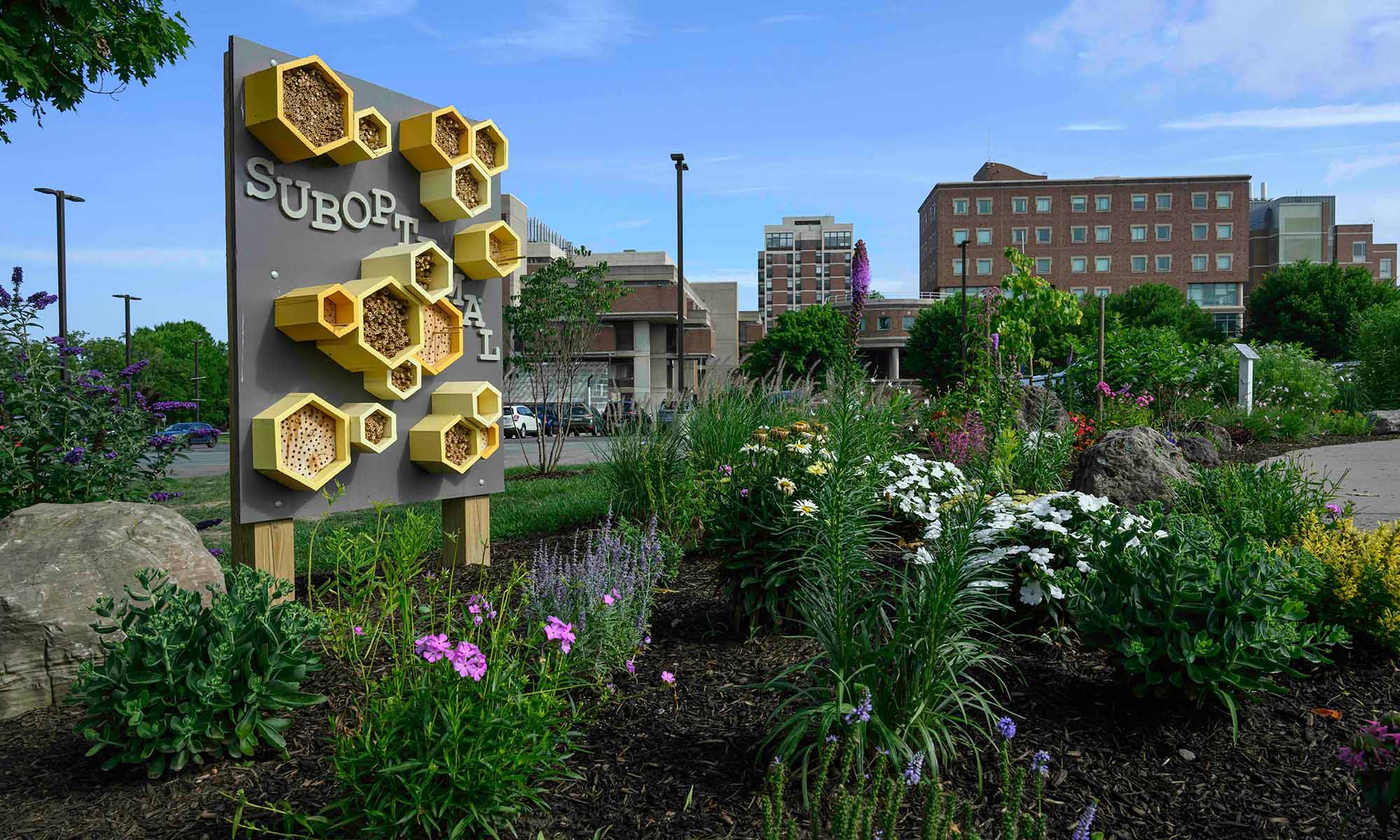 Wide shot of URochester's pollinator garden and art installation on the River Campus. 