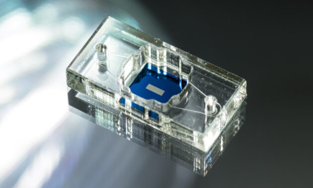 A modular µSiM (m-µSiM) tissue chip platform.