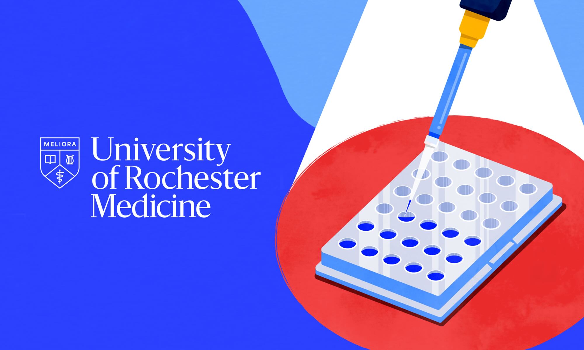 Illustration of a pipette filling pools in a laboratory dish next to the University of Rochester Medicine logo.