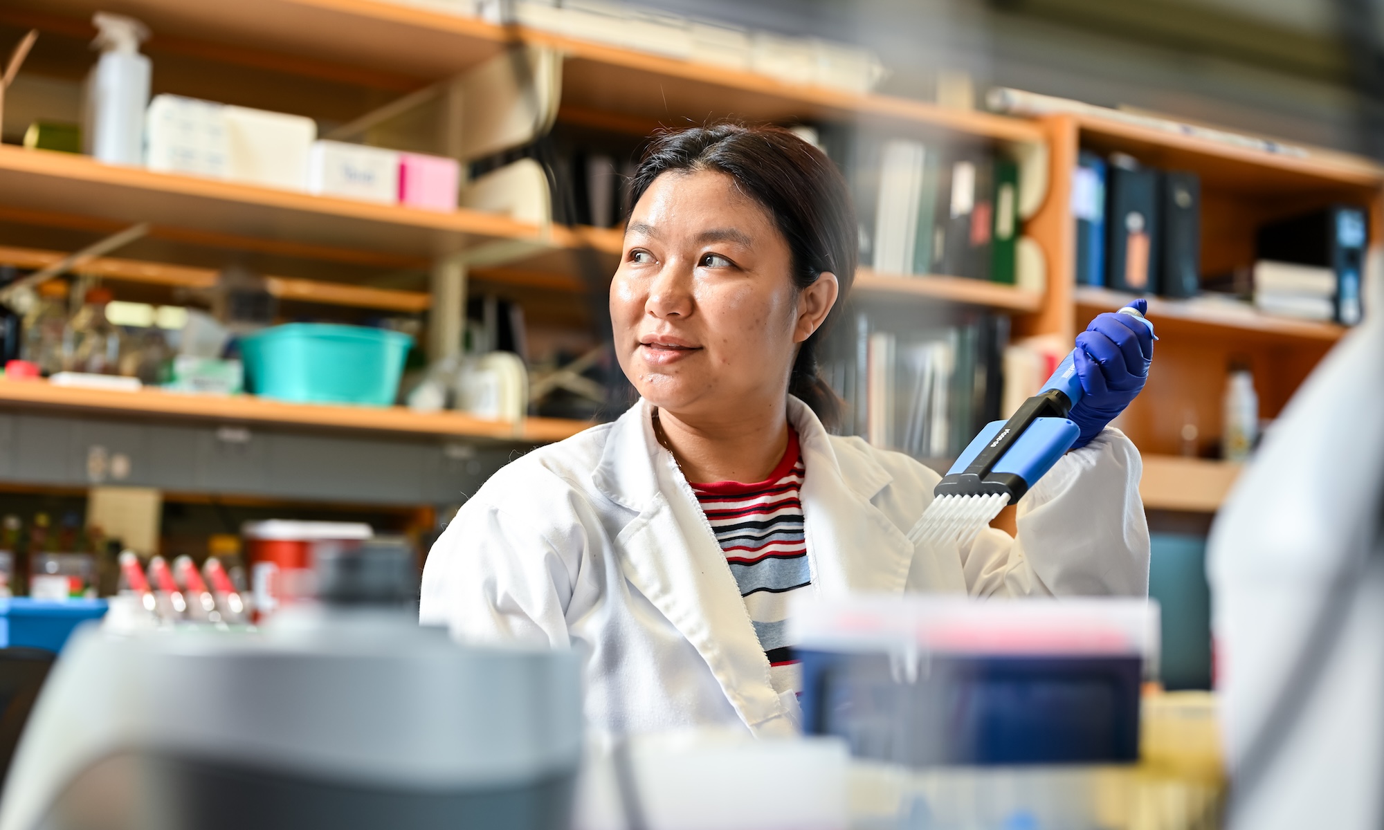 Graduate student Ei Thanda Tun performs an ELISA (Enzyme-Linked Immunosorbent Assay) on a sample.