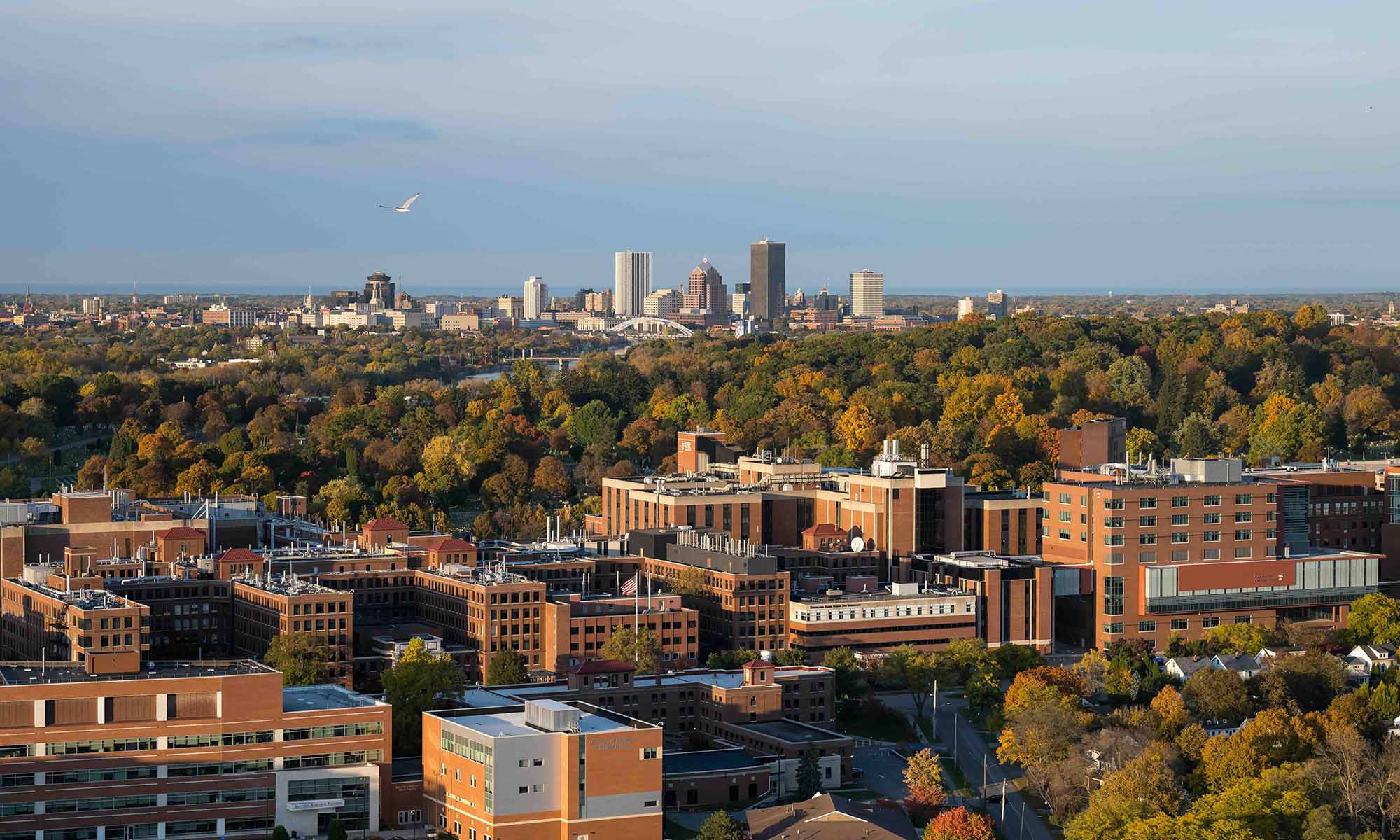 Aerial view of the University of Rochester's Health Sciences Campus with the city of Rochester skyline in the background.