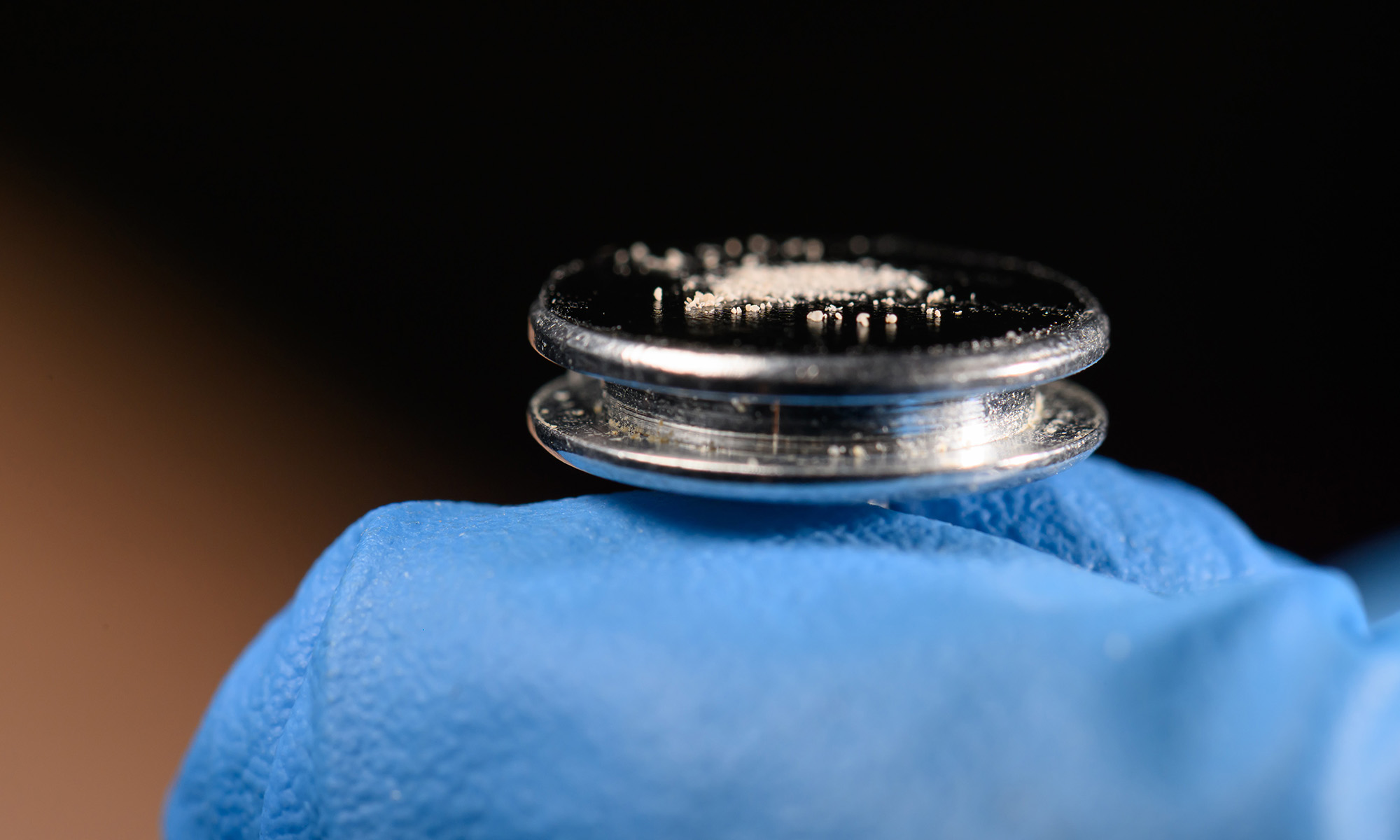 Close up of foraminifera microfossils on a mount and held on a gloved fingertip as part of oceanographer Chiara Borrelli's research.