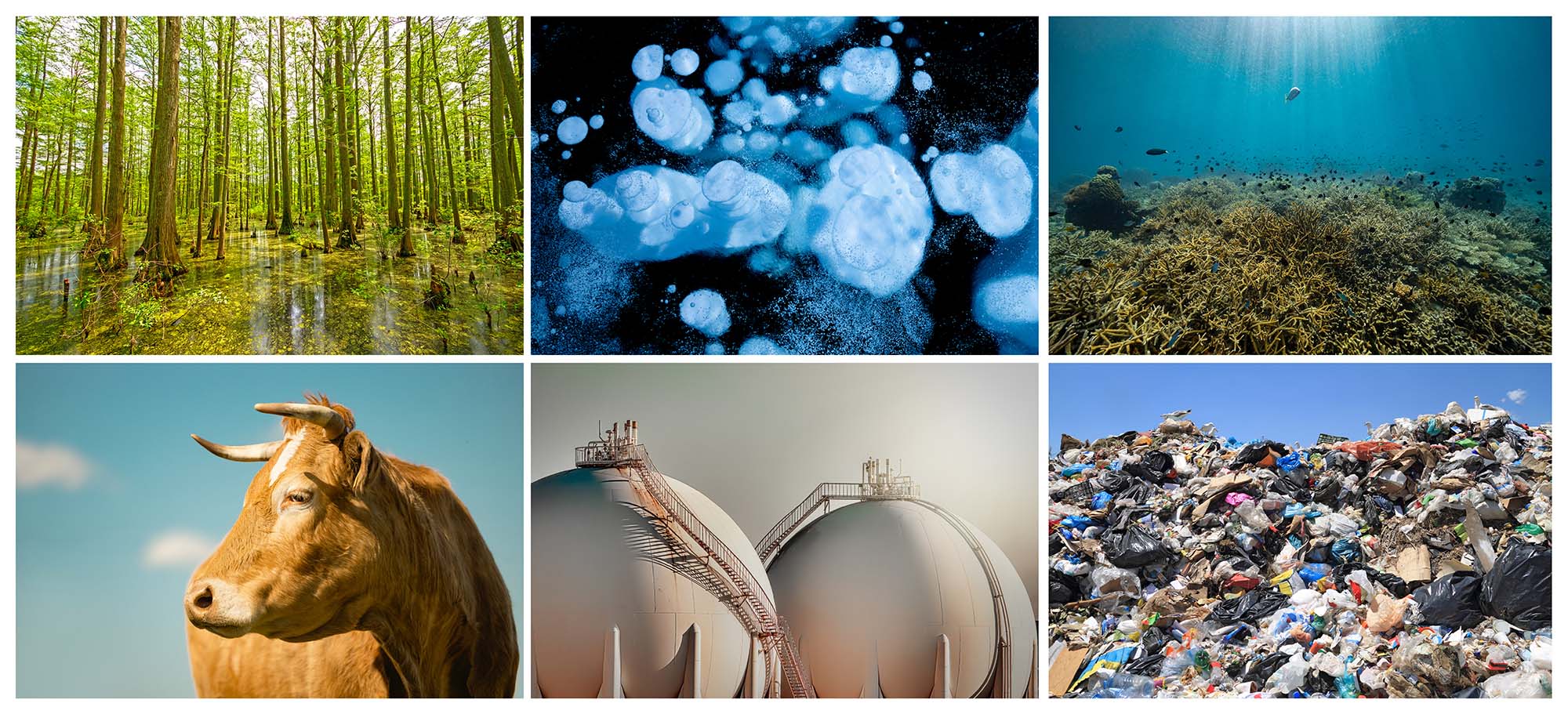 A six-image collage illustrating natural and human-caused sources of methane emissions: wetlands, freshwater, oceans, cattle, oil and gas facilities, and landfills.