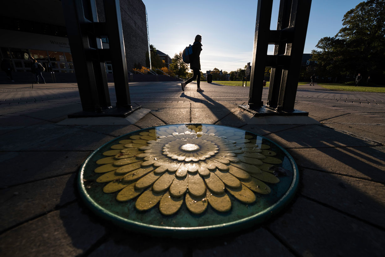 A person strolls by a large circular dandelion scultupre, surrounded by greenery and reflecting sunlight.