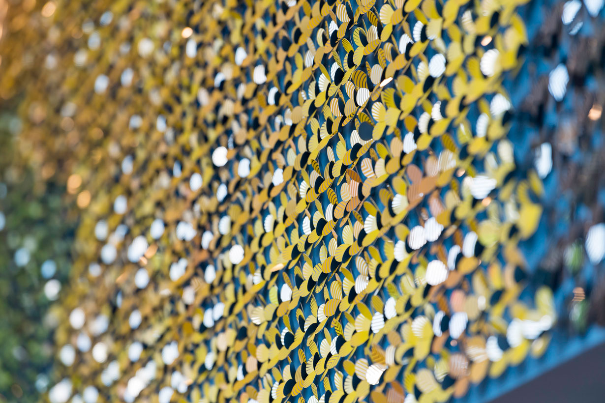 A vibrant wall adorned with yellow and blue circles, showcasing the artistic spirit of the University of Rochester.