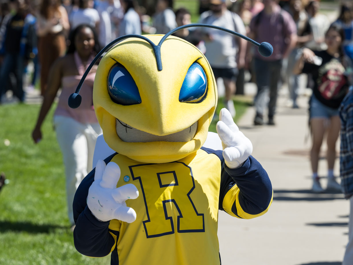 University of Rochester mascot Rocky the yellowjacket wearing a yellow and blue shirt, featuring striking blue eyes.