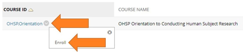 A screenshot of the Blackboard Course ID, Name, and Enrollment screen
