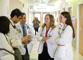 School of Medicine and Dentistry