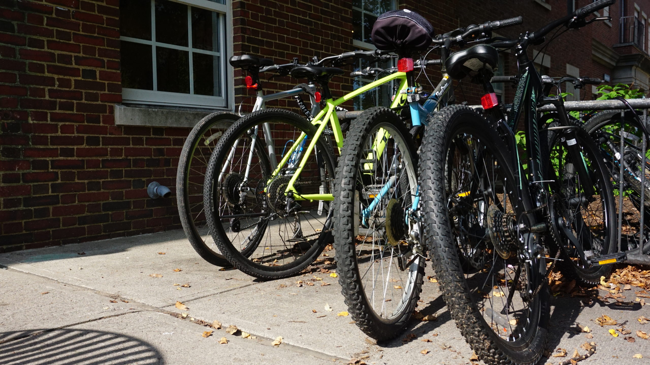 bikes parked at a bike rack on campus